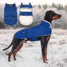 Dog Jacket